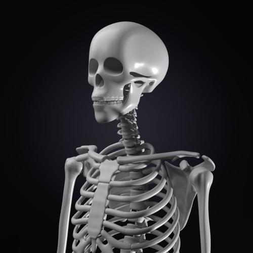 Skeleton preview image